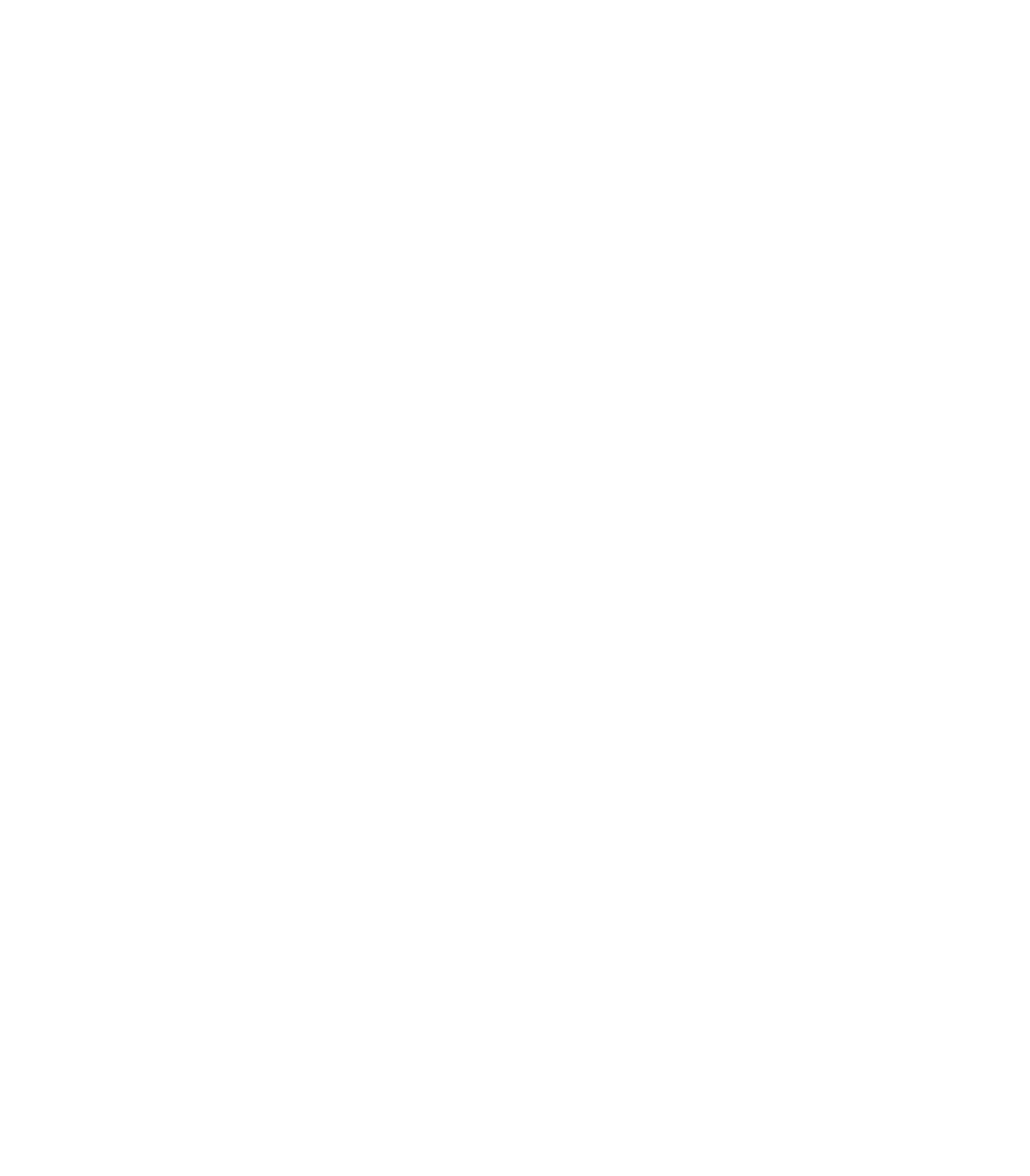 Swan Custom Builders
